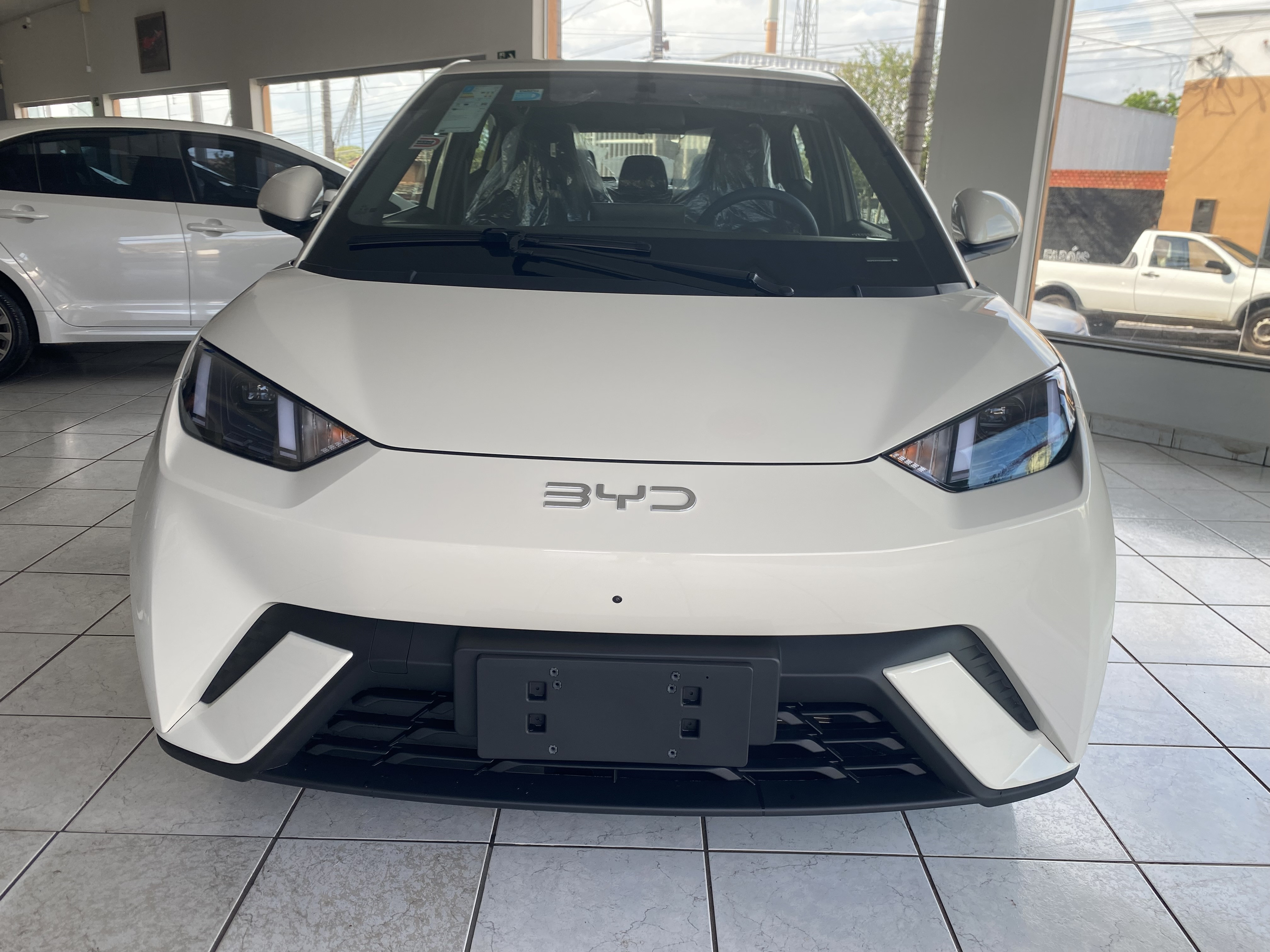 BYD Dolphin Mini 2027 à venda